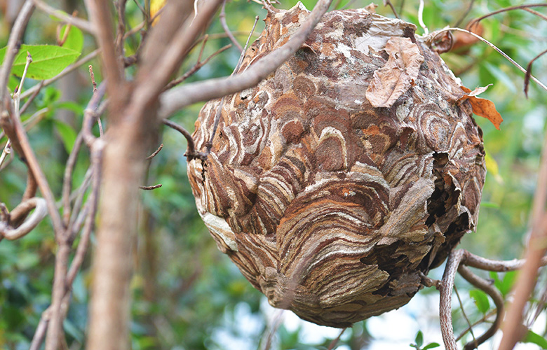 夜間・土日祝の作業もできる限り対応いたします